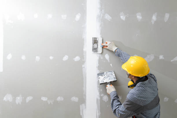 Professional Drywall & Painting Services in Loma Rica, CA